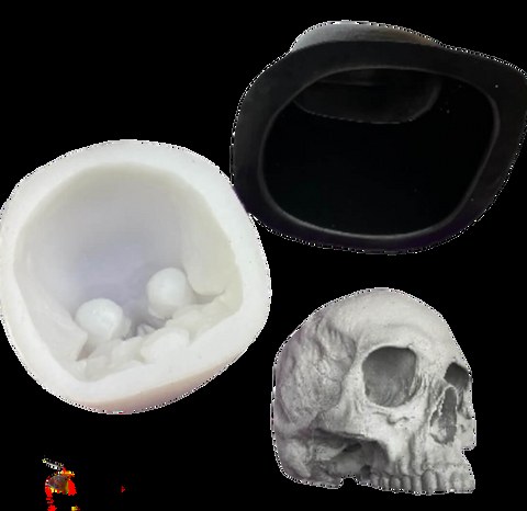 Flat Back Jawless Skull