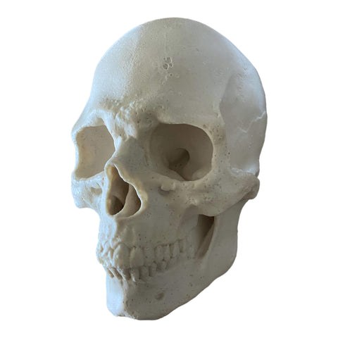 Flat Back Silicone Skull Mold