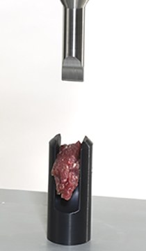 Attaches et outillages pour les essais de viandes, volailles et poissons