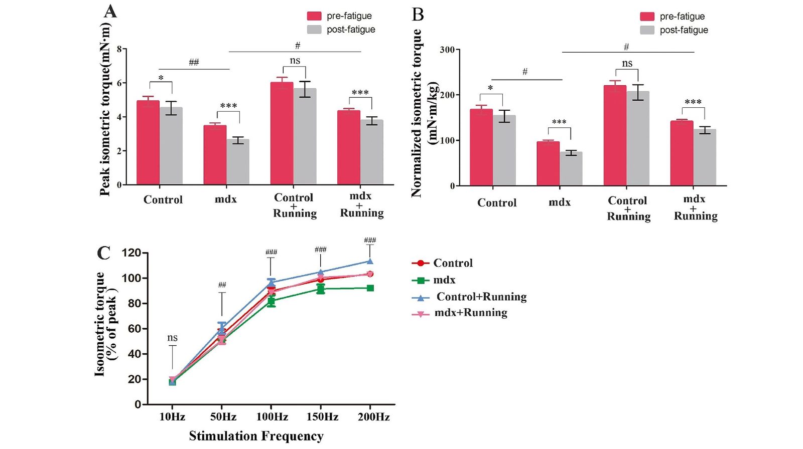 Molecular Deep Dives in Force Production