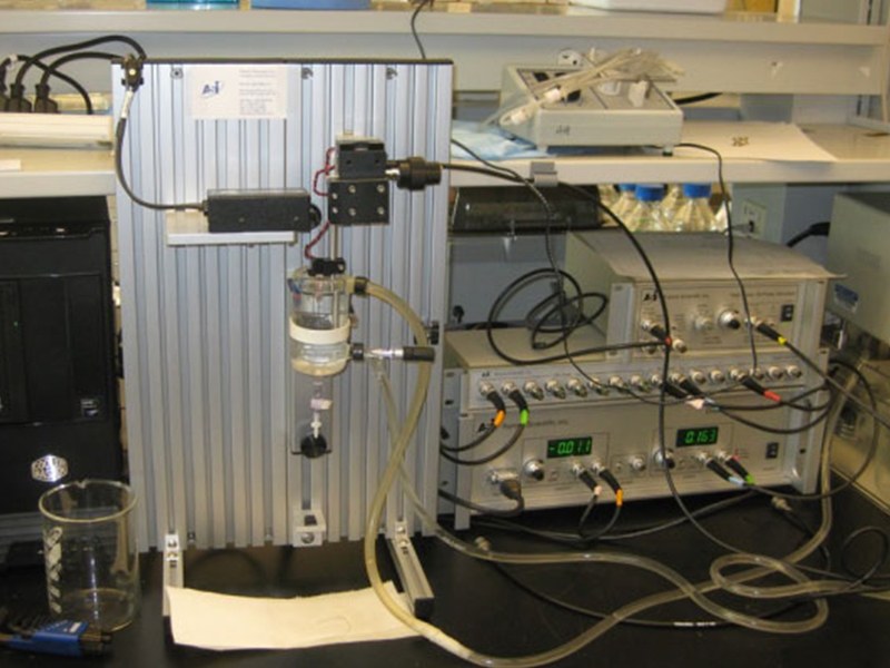 Necessary Equipment to Operate Your New ASI Muscle Test System