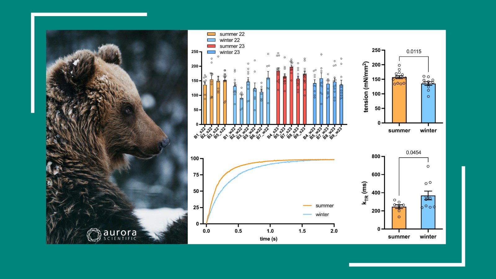 New Year, New Insights: Unique Models in Muscle Physiology