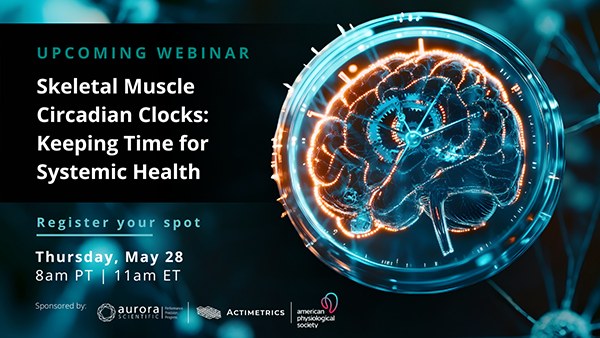 Skeletal Muscle Circadian Clocks: Keeping Time for Systemic Health
