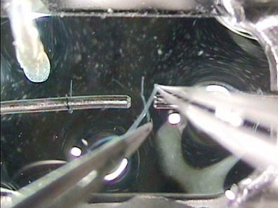 Tying Fibers to Aurora Scientific Instruments
