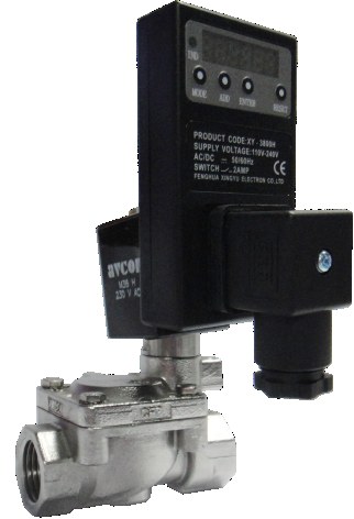 Digital Timer