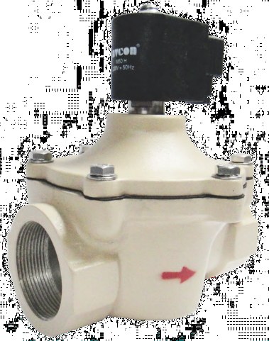 R217E