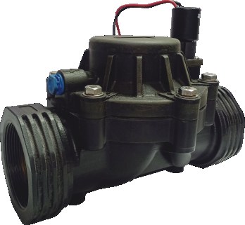 R641K