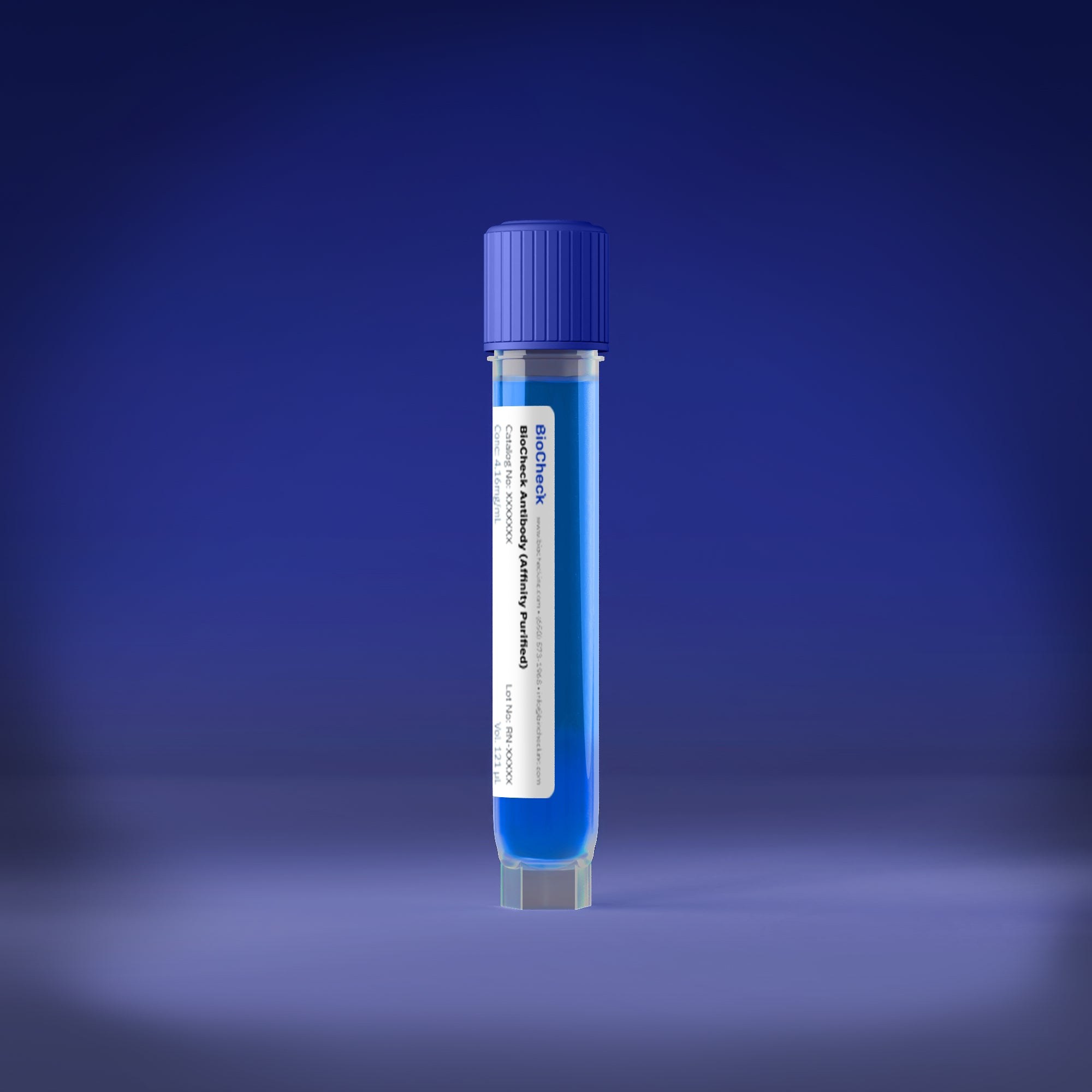 GFAP Mouse Monoclonal Antibody (Clone 2H12)