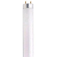 SATCO F32T8/850/ECO S2919