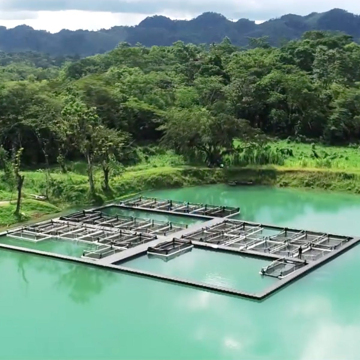 Sustainable fish farming with Candock Floating Systems