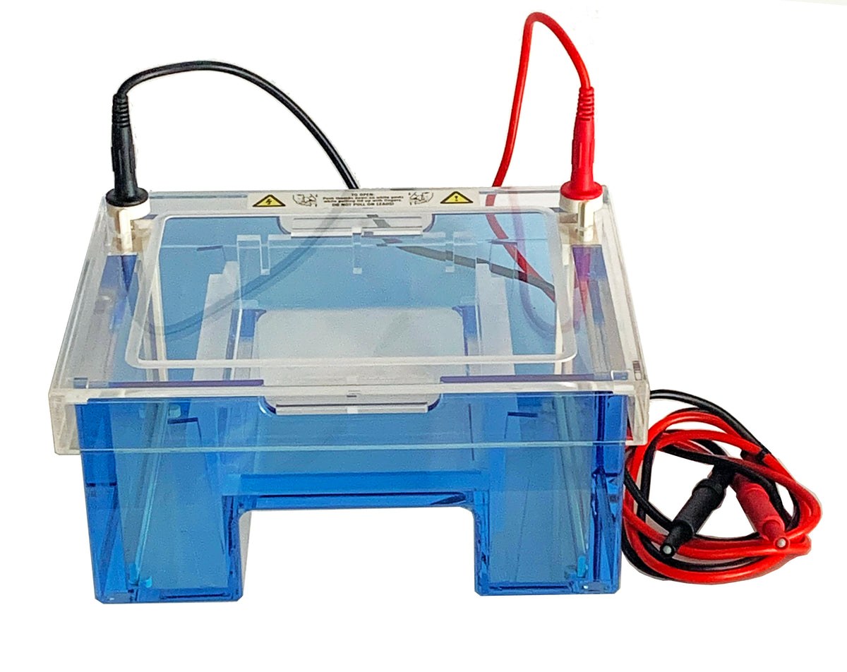 Midi Horizontal Electrophoresis System