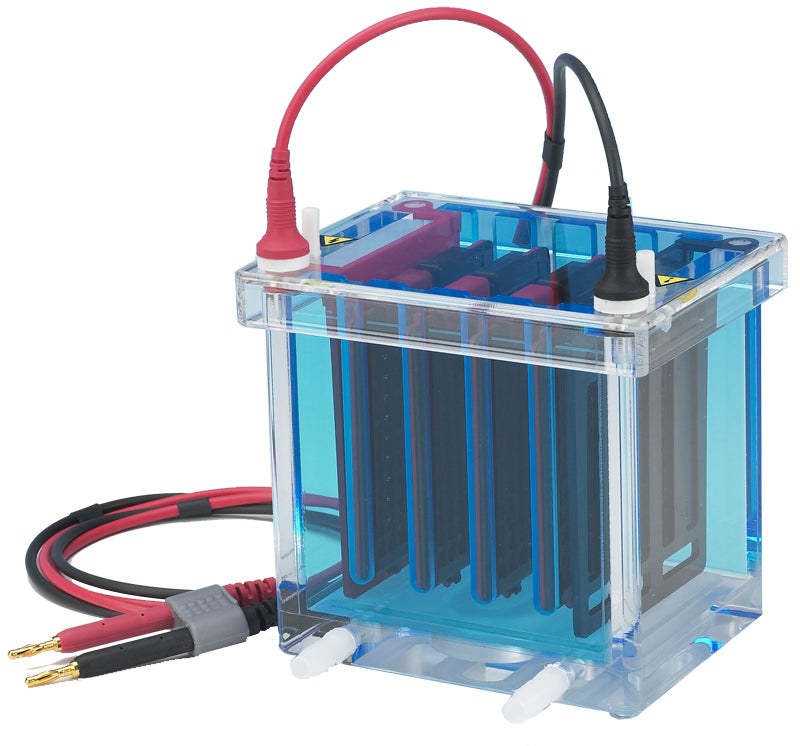 Mini-Blotting System for Electrophoresis Applications