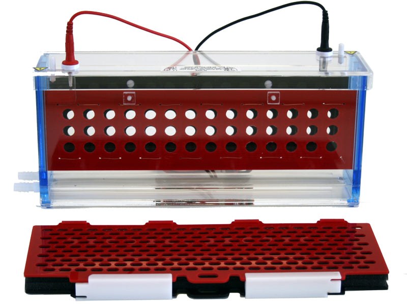 Triple-Wide Mini Electrophoretic Blotting System