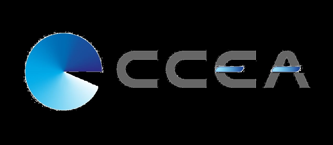 CCEA Lights