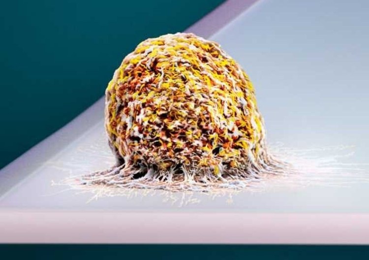 Hhow much does life weigh? Now, there is a scale that can reveal it