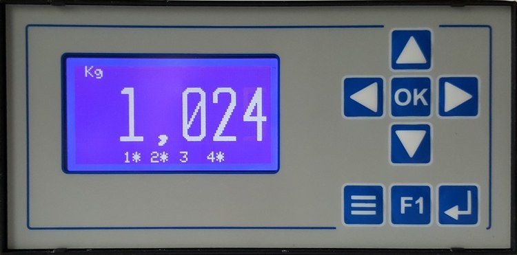 TDSC BN_ST TRANSMITTER FOR STATIC AND DYNAMIC WEIGHING