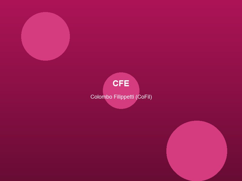 cfe-electronic-cam