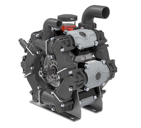 BPS 300
