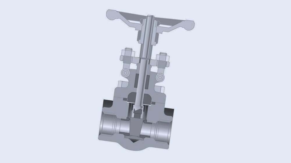 CRANE® Ventile aus Schmiedestahl