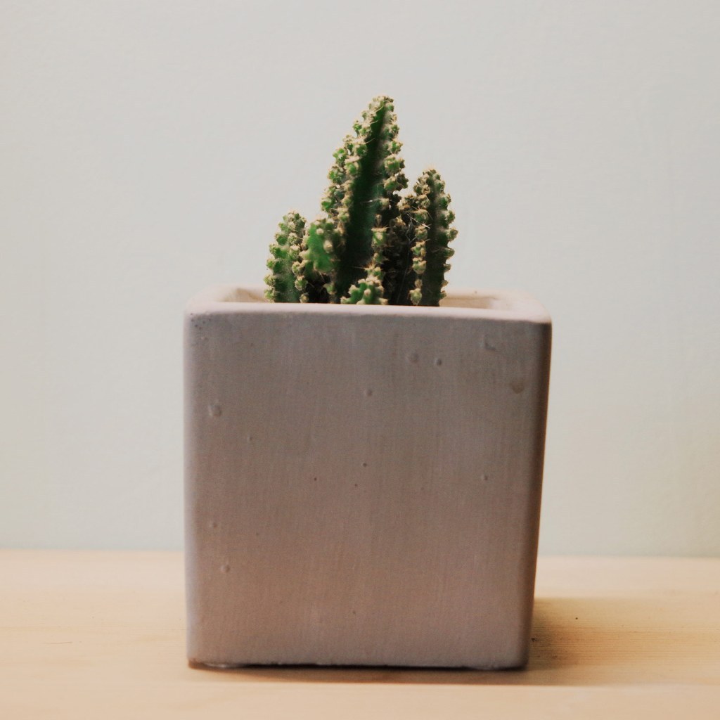 stoneware Archives