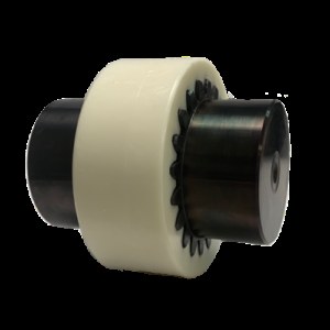 Elastic coupling Nil Union model 1