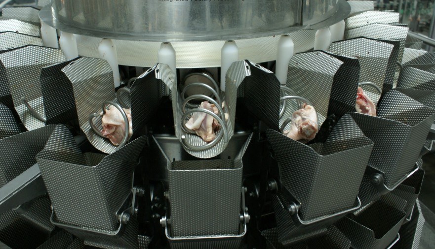 Electromagnetic Clutch for Weigher