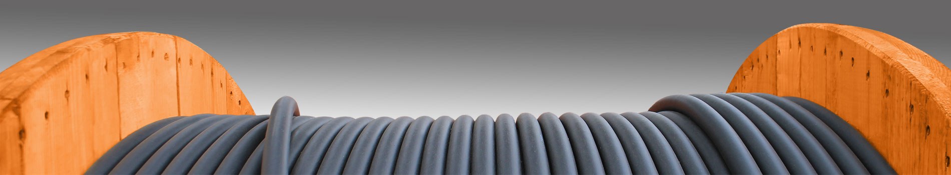 Cable LiFY