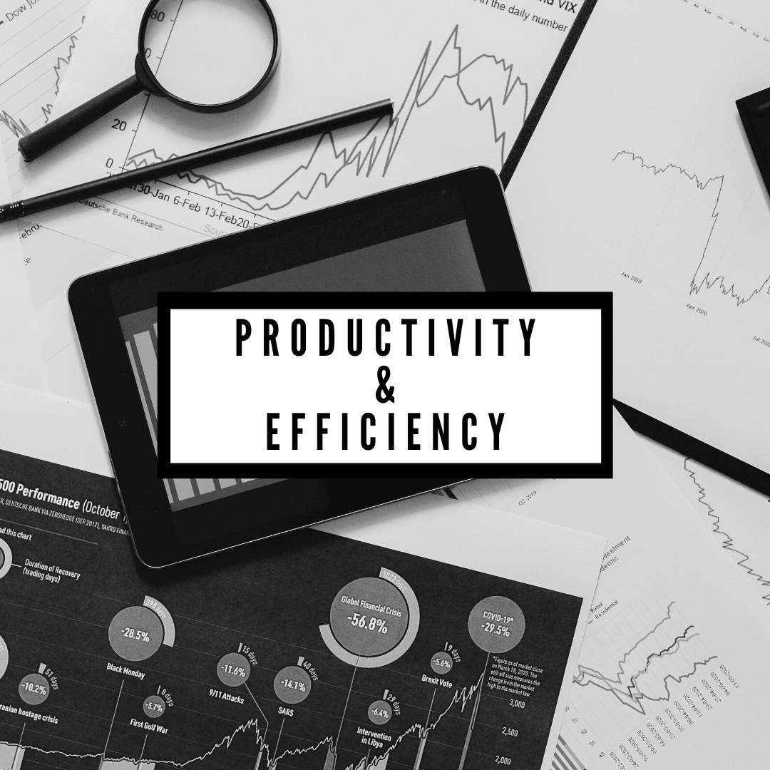 Productivity Versus Efficiency