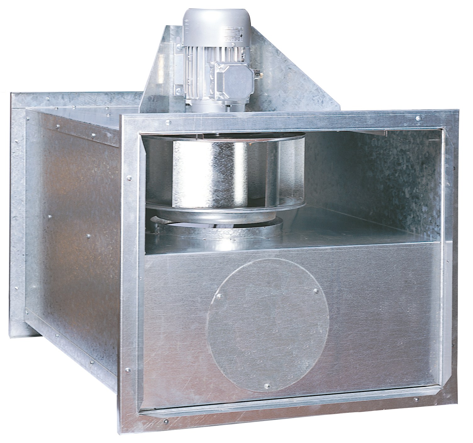 Ficha de BOX LINE 315/4E 60Hz BOXL604314