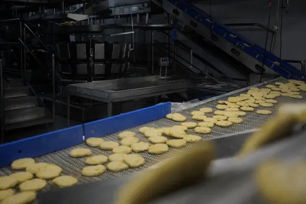 Food Grade Conveyor Systems for Modern Food Production