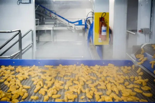 Food Processing Conveyor Systems: Uses and Benefits