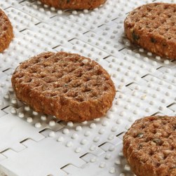 Global and United States PTFE Mesh Belts Market Analysis