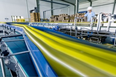 How Smart Conveying Systems Are Changing Manufacturing