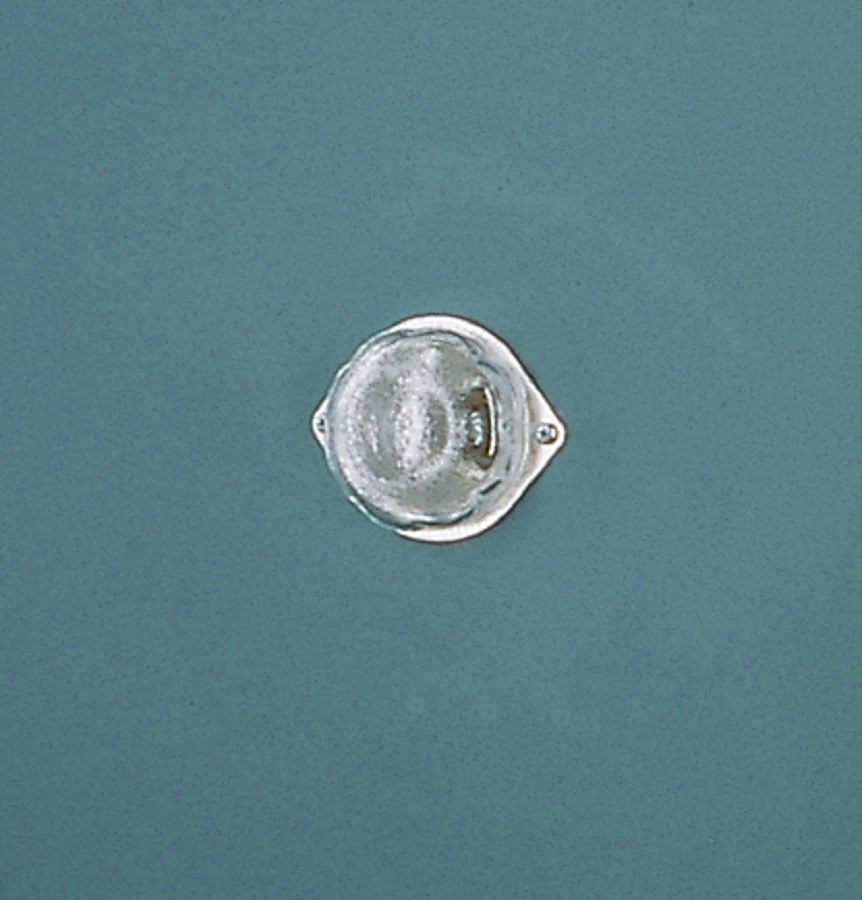 Interior Oven Light
