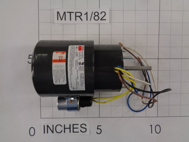 Motor