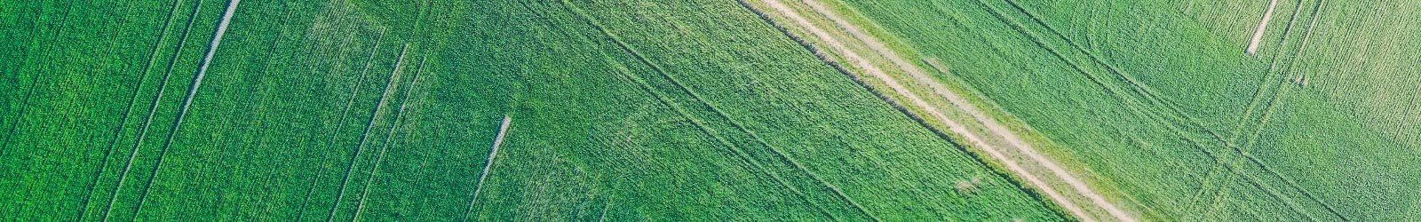 Hyperspectral Systems