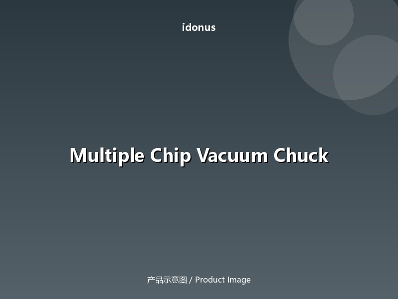 multiple-chip-vacuum-chuck