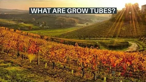 Grow Tubes & Channels