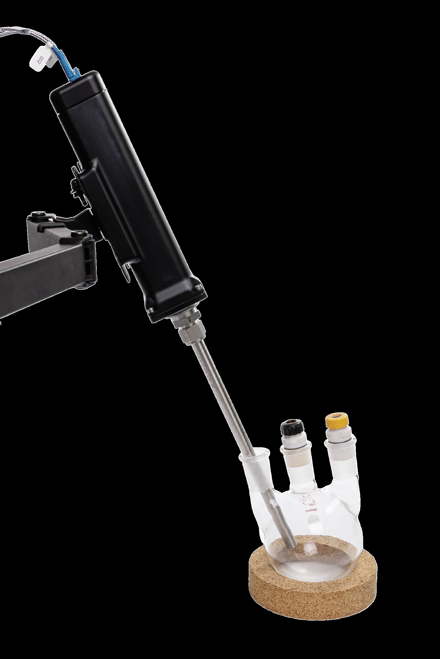 Low Frequency Raman Probe