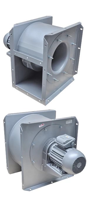 Durch die neue Flexline