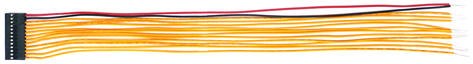 J4C13