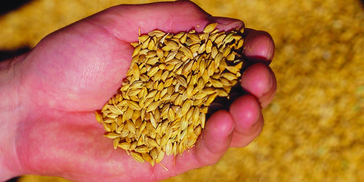 Traitement des céréales