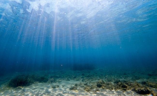 5 Reasons You Need a Water Testing Solution