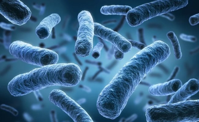Legionella Explained: Understanding Legionnaires' Disease