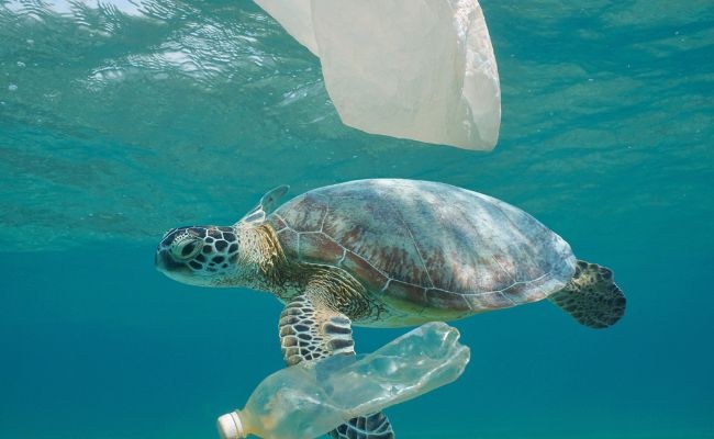 Reduce your plastic waste with Drinksafe