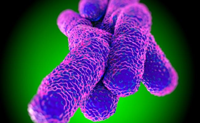 The risk of Legionella at sea