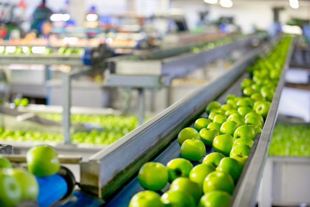 Food Grade Release Agent