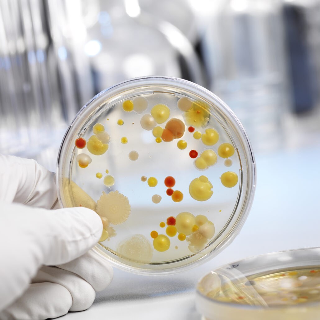 Bacterial DNA Barcoding Project: 16S rRNA Amplification Kit