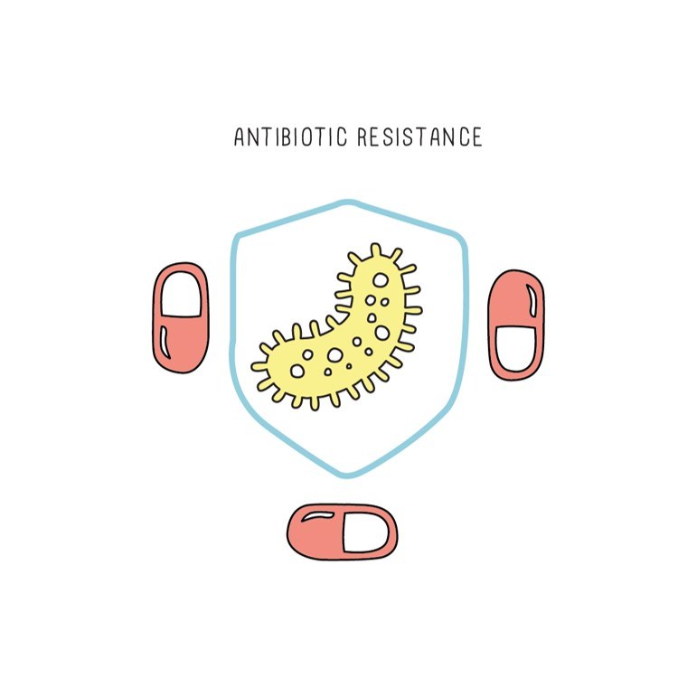 BioBits®: Antibiotic Resistance