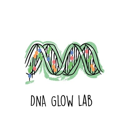 DNA Glow Lab™: Exploring DNA Structure
